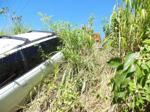 Car Retrieval